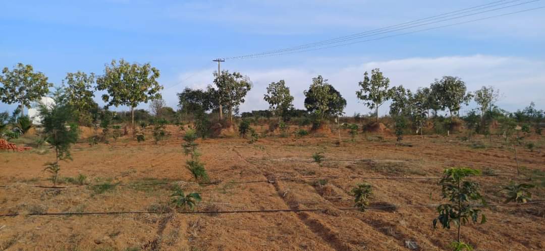 Suprabhat Farms